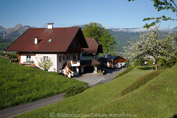 Hausidylle in Grnwiesen Bergland Wolfgangsee Apfelblte malerischer Frhling