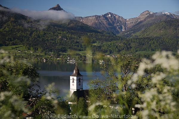 Sankt Wolfgangsee Kirchturm Bergpanorama Frhlingsfoto Obstbaumblte am Wasser