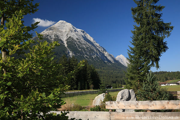 Hohemunde Gipfelbild Felsspitzen ber Wiesenzaun Wandhang Naturfoto grnes Leutaschtal