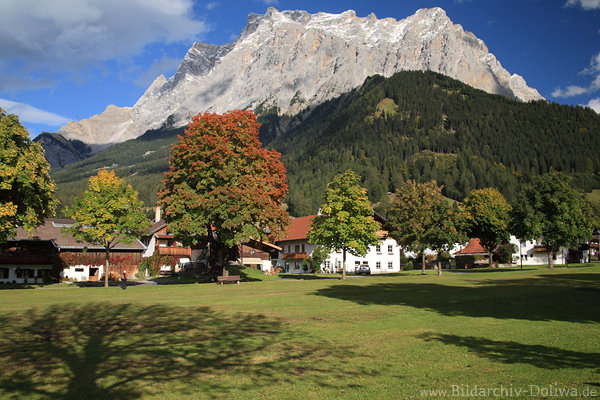 Alpensicht Bergdorf Ehrwald Wetterstein Bergmassiv ber Grnwiese Naturfoto