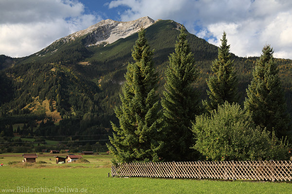 Ehrwalder Moos Grnwiesen Bume am Zaun unter Daniel Berglandschaft Naturfoto