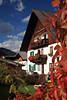 Ehrwald Landhaus Wilhelm rote Herbstblätter Urlaub herbstliche Farben