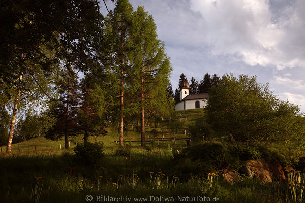 Kapellenweg Ellmau bergauf Marschblick nach oben zur Kalvarienhhe