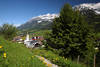 Ellmau Bergpfad Frühlingsblumen Naturfoto Dorf im Alpental