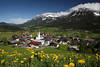 1300394_Ellmauer Dorf Talpanorama Bild Alpenblumen Frühlingsblüten am Wilder-Kaiser Foto