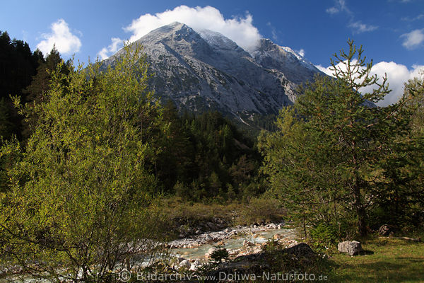 Gaistal Bergbach Naturfoto grnes Naturparadies unter Gipfel Hohe Munde Alpenlandschaft-Bild