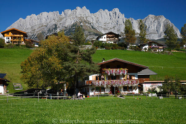 Hofreith Going Grünidylle vor Bergpanorama Wilder Kaiser Tirol Bergdorf Reisebild