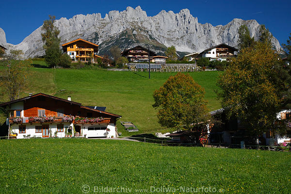 Going am Wilder Kaiser Bergpanorama Tirol Bauernhfe Grnidylle Gasthuser Naturbild