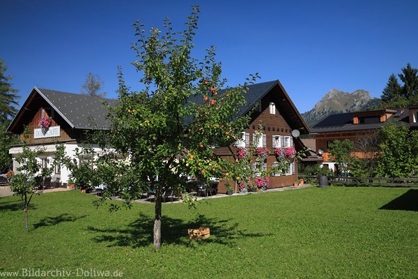 Dorfcafe Haldensee Gartenidylle Foto 212961 Grnwiese Apfelbaum Frchte Bergblick