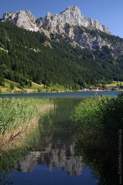 Haldensee Bergkulisse Gipfelfelsen Naturfoto 212998 Wasser Grnufer Spiegelung Bild