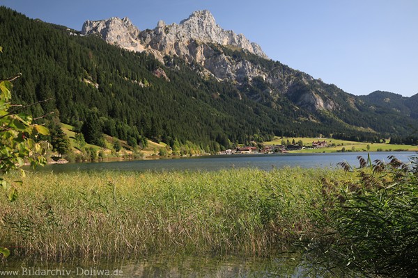 Haldensee Naturufer Schiff Wasserlandschaft Gipfelblick Panoramafoto 212977 Bergkulisse