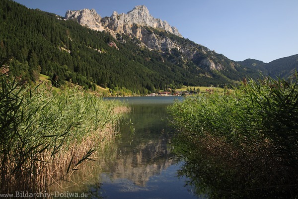 Haldensee Wasserlandschaft Schiffufer Berge Naturfoto 212995 Alpen-Gewässer Gipfelblick
