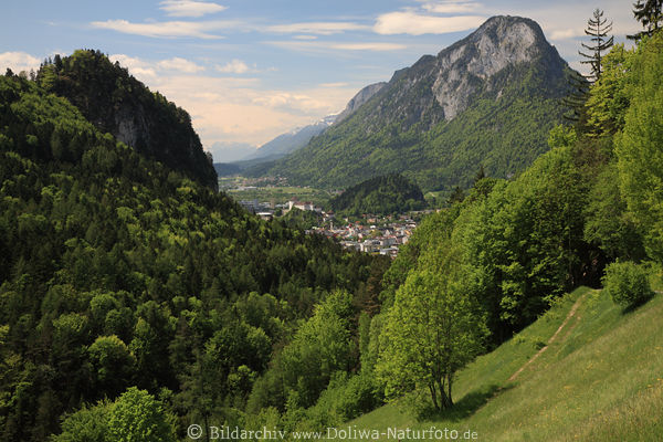 Pendling Brandenberger Alpen Gipfel ber Kufstein Inntal Frhling-Grnpanorama Naturbild