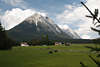 810079_ Leutascher Talwiese mit Pferdepaar auf Weide unter Hohe Munde Berg, Ostgipfel Foto aus Tirol