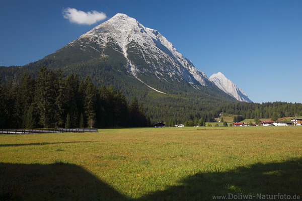 Hohe Munde Alpengipfel ber Leutasch-Tal Grnwiesen-Weide Naturbild thronend