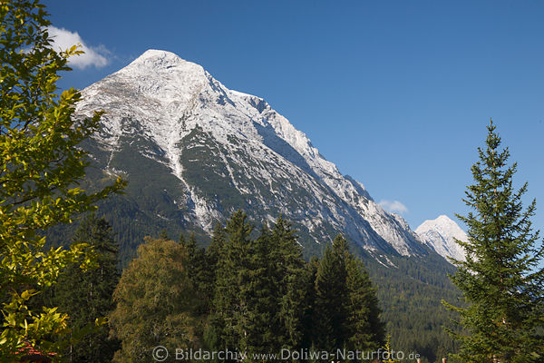 Leutaschtal Berggipfel Hohe Munde Felsspitze thronend ber Grnbume