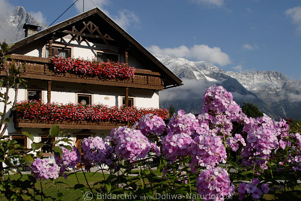 Leutasch Landhaus Blumen-Romantik mit Alpenblick auf Schnee-Berge Tiroler Gipfel