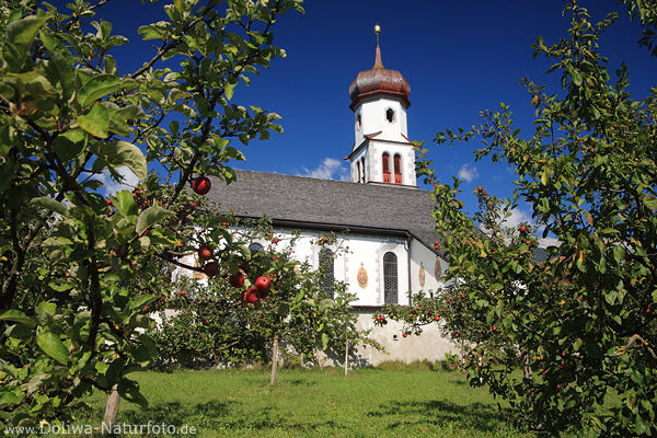 Apfelgarten um Kirche Sankt Georg in Obermieming Bume rote pfel