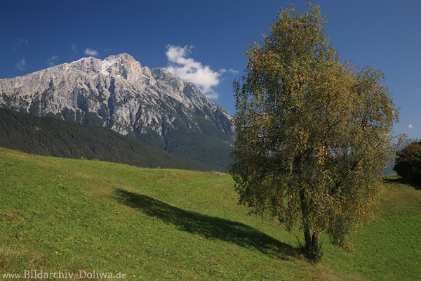 Affenhausen Berglandschaft Wildermieming Bergland Felsmassiv