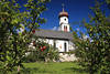Apfelgarten um Kirche Sankt Georg in Obermieming Foto Bäume rote Äpfel