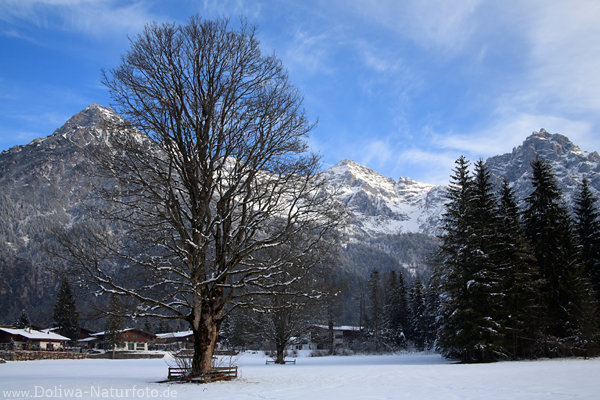 Sankt Ulrich am Pillersee Winterfoto verschneites Tal Loferer Steinberge Gipfelblick