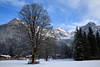 815672_ St. Ulrich am Pillersee Winterfoto vom Baum im verschneiten Tal mit Blick auf Loferer Steinberge