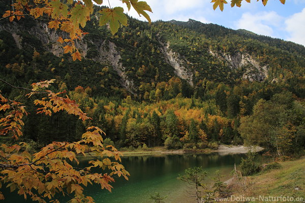 Plansee Herbst-Naturfoto Berghang ber Wasser Alpensee bei Reutte