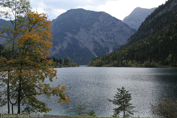 Plansee Gipfelkulisse ber Wassertafel in 976 m Seehhe Naturfoto Alpensee Berge-Ausflugsziel