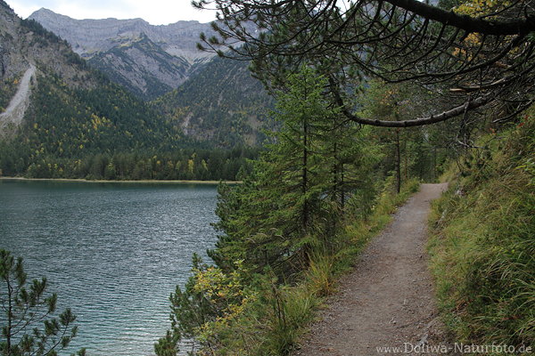 Plansee Wanderpfad in Naturfoto mit Gipfelkulisse ber Wasserflche in 976 m Seehhe