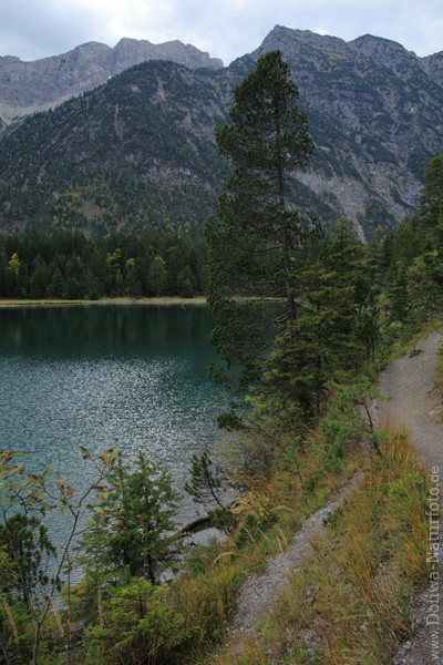 Plansee Wanderweg in Bergkulisse Naturfoto Alpensee Wasserlandschaft bei Reutte