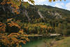 Plansee Herbst-Naturfoto Berghang ber Wasser Alpensee bei Reutte