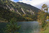 Plansee-Autoreise um Alpensee Wassertafel Uferweg Berge Naturfoto nah Reutte