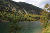 Plansee-Naturfoto Berge um Alpensee Wassertafel Naturbild grne Oase bei Reutte