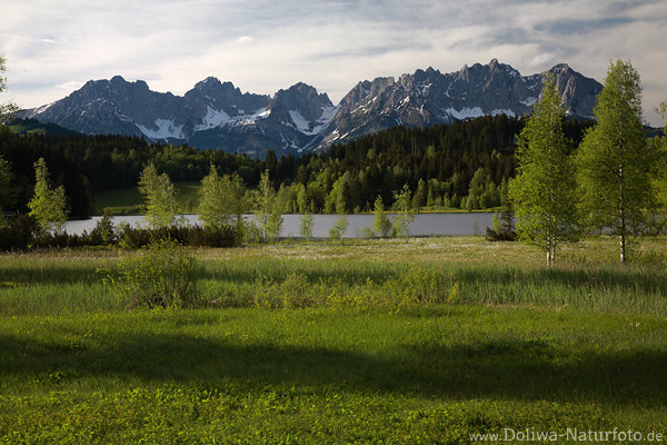 Schwarzsee Grnwiesen Naturfoto vor Bergkette Alpenlandschaft Panorama WilderKaiser