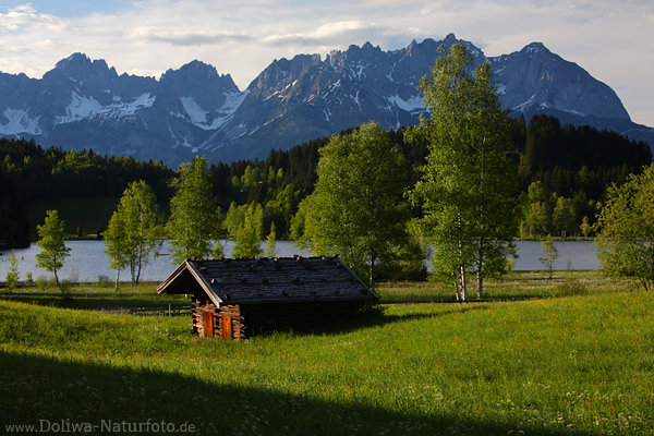 Schwarzsee Alpenkulisse Naturfoto Grnwiese Berghtte Kaisergebirge Skyline in Abendlicht