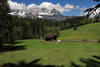 Bergalpe Kuhweide Naturfoto Frühling vor Kaisergebirge Alpenlandschaft Almwiese Bild