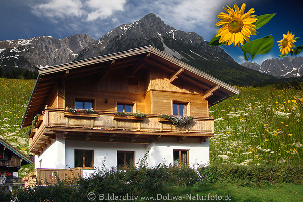 Berglandhaus Naturidylle in Alpenlandschaft Frühlingsblüte