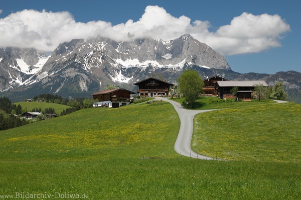 Erb Alm Bauernhfe in Bergpanorama Wilder Kaiser