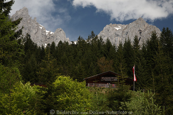 Graspointhtte in Bumen Wilder Kaisergebirge Gipfel ber Niederalm Jausenstation