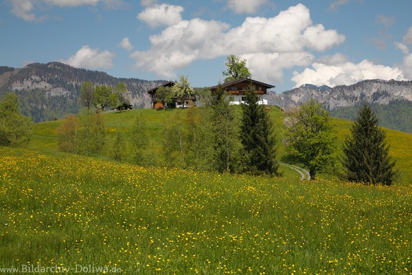 Grovogelsberg Alm Bauernhof Naturidyll grne Bergwiesen Landschaftsbild vor Hinterkaiser