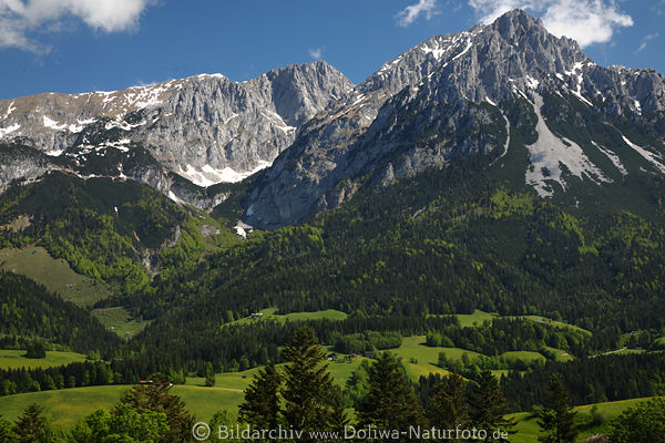 Tuxeck Alme unter Wilder Kaiser Felsspitzen