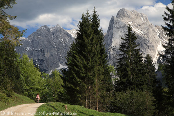 Bergweg Wanderin Felskulisse Wilder Kaiser Naturidylle AlpenLandschaft