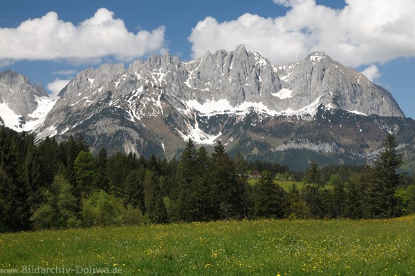 Bergkamm Wilder-Kaiser Gipfelpanorama Naturfoto 1300182 Alpenmassiv Landschaftsbild
