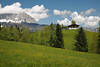 BergAlm Naturidylle Frhlingsfoto Bauernhof Blumenwiesen Alpenlandschaft Schnwetterwolken