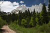 1300250_Waldweg mit Wanderer Foto unter Wilder Kaiser Berge Felsmassiv Panorama über grüne Bäume