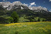 1301147_Oberberg Blumenwiese Kaiser-Blick Panorama ber Tal grne Landschaft Foto