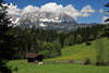 Bergalpe Naturfoto Weide Kuh Almwiese Frühling vor Kaisergebirge Alpenlandschaft Bild