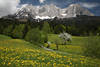 1300228_Wilder Kaiser Landschaft Naturidylle Bild Felsmassiv Wiesenblüte Panorama grüner Wald Pfad Frühlingsfoto