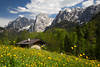 Alpenfrühling Naturbilder Berglandschaft Kaisergebirge Blumenwiese Felsengipfel Schneereste grünes Tal