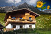 Berglandhaus Naturidylle in Alpenlandschaft Frühlingsblüte